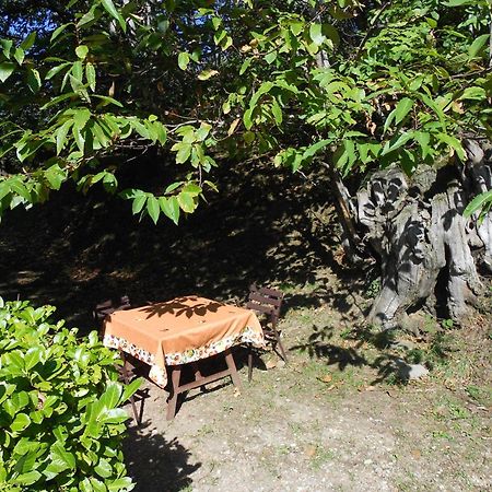 Fattoria Il Praticino Villa Castelfranco di Sopra Kültér fotó