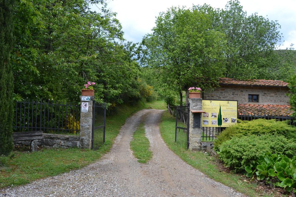 Fattoria Il Praticino Villa Castelfranco di Sopra Kültér fotó